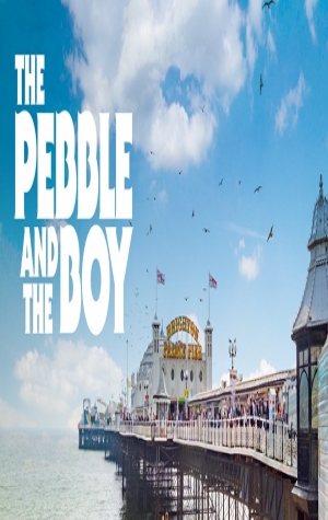 The Pebble and the Boy