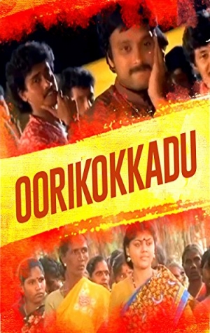 Kotikokkadu