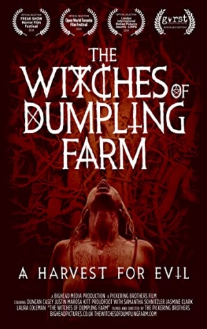 Wicked Witches (The Witches of Dumpling Farm)