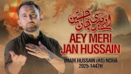 Meri Jan Hussain