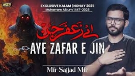 Zafar E Jinn