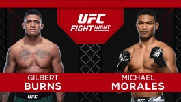 Ultimate Fighting Championship - 2025-05-17